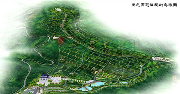 抖圈-为du而生官网入口