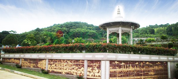 抖圈-为du而生官网入口