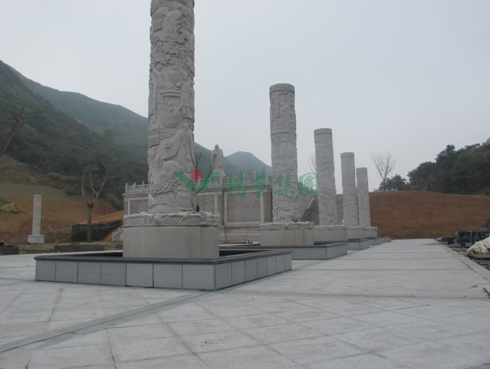 抖圈-为du而生官网入口