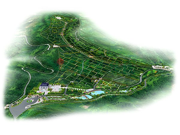 抖圈-为du而生官网入口