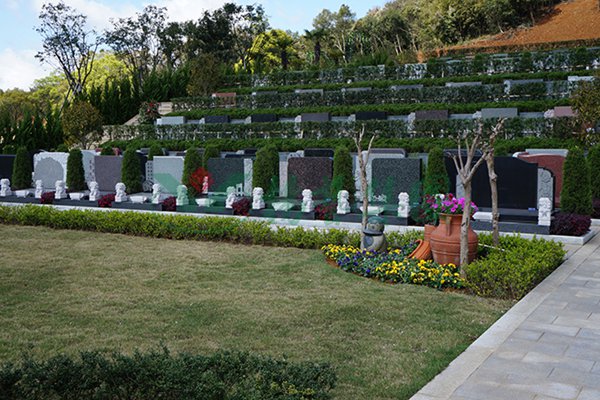 抖圈-为du而生官网入口