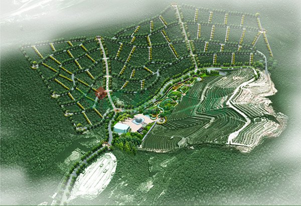 抖圈-为du而生官网入口