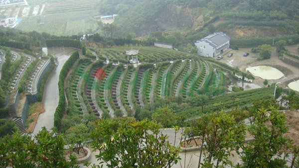 抖圈-为du而生官网入口