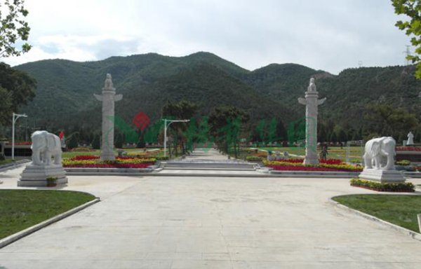 抖圈-为du而生官网入口