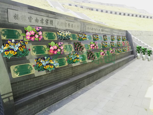 抖圈-为du而生官网入口