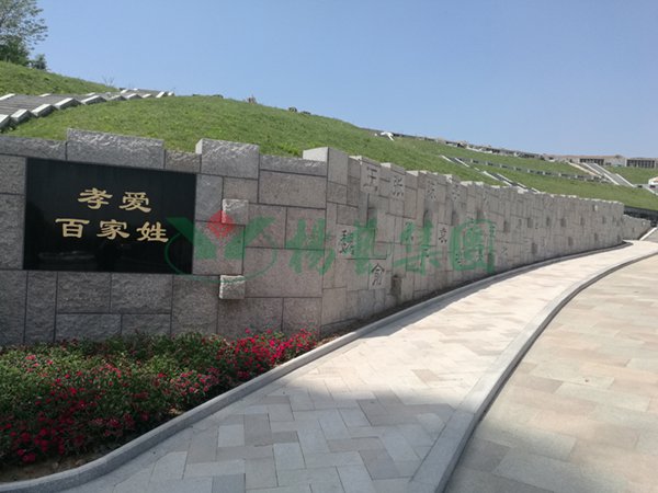 抖圈-为du而生官网入口