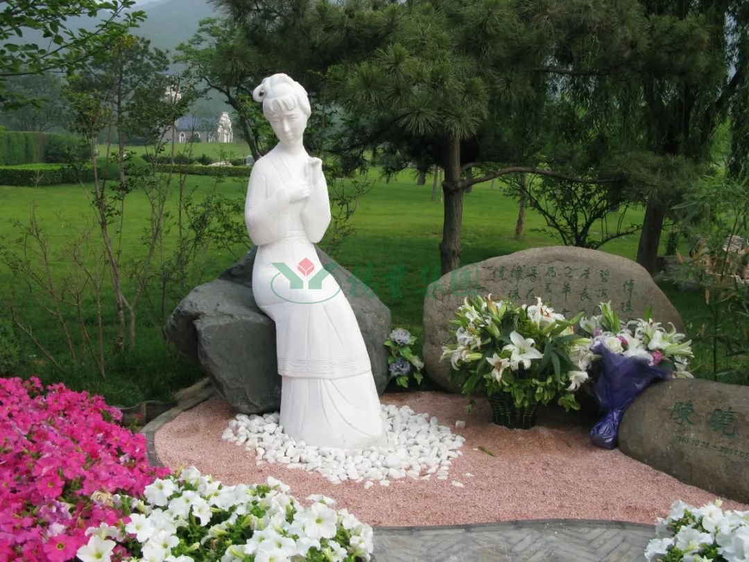 抖圈-为du而生官网入口