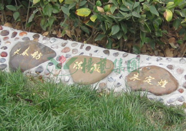 抖圈-为du而生官网入口