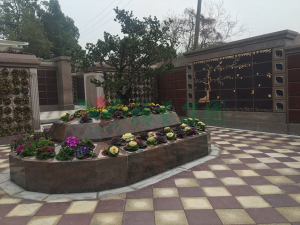 抖圈-为du而生官网入口