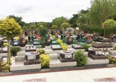 上；懔靶腔鹎