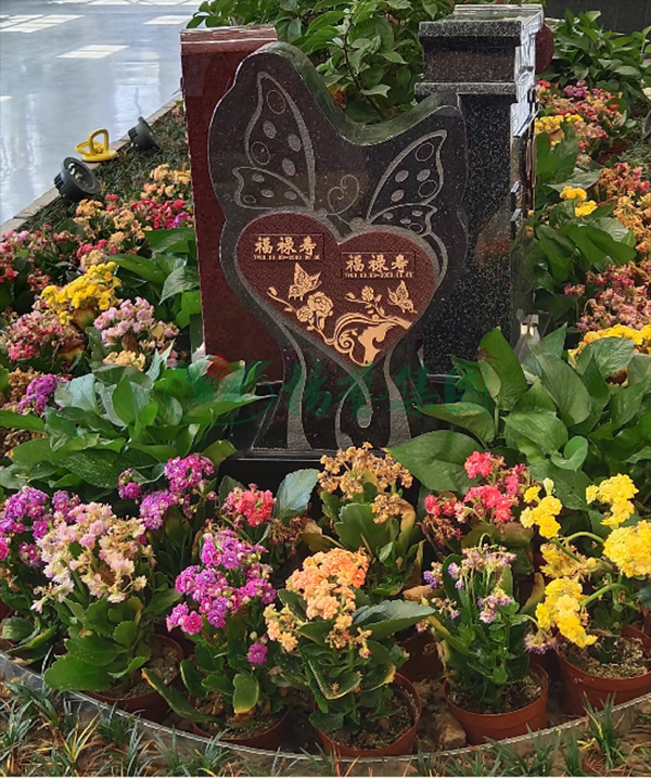 抖圈-为du而生官网入口