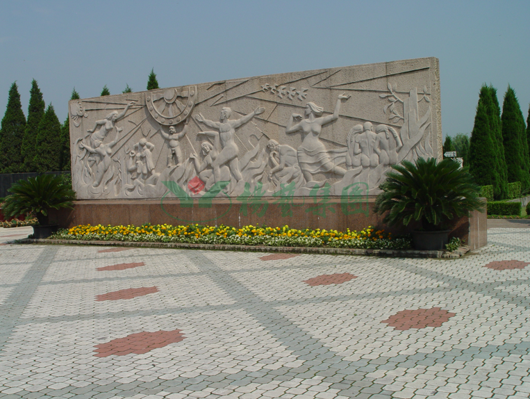 抖圈-为du而生官网入口