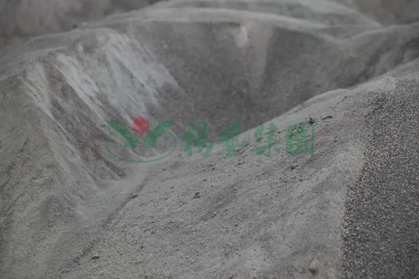 抖圈-为du而生官网入口