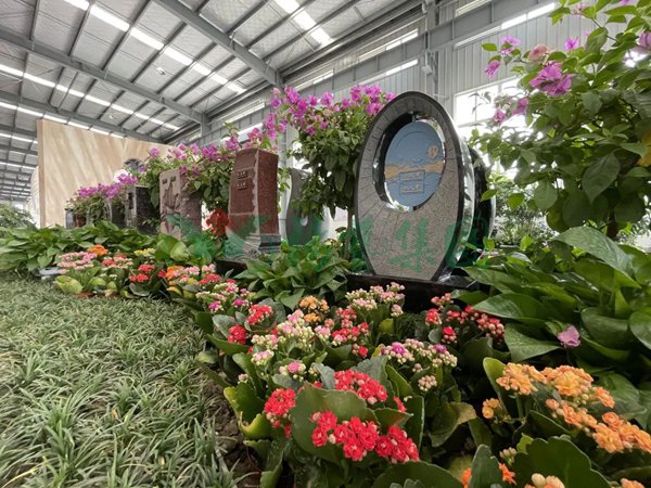 抖圈-为du而生官网入口