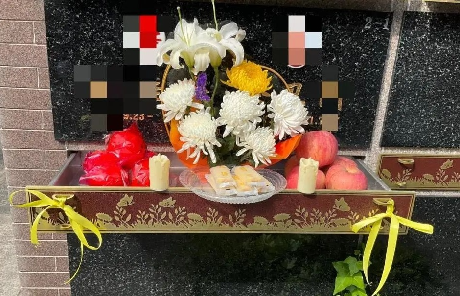 抖圈-为du而生官网入口