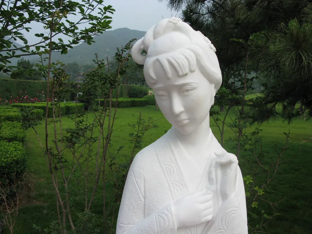 抖圈-为du而生官网入口