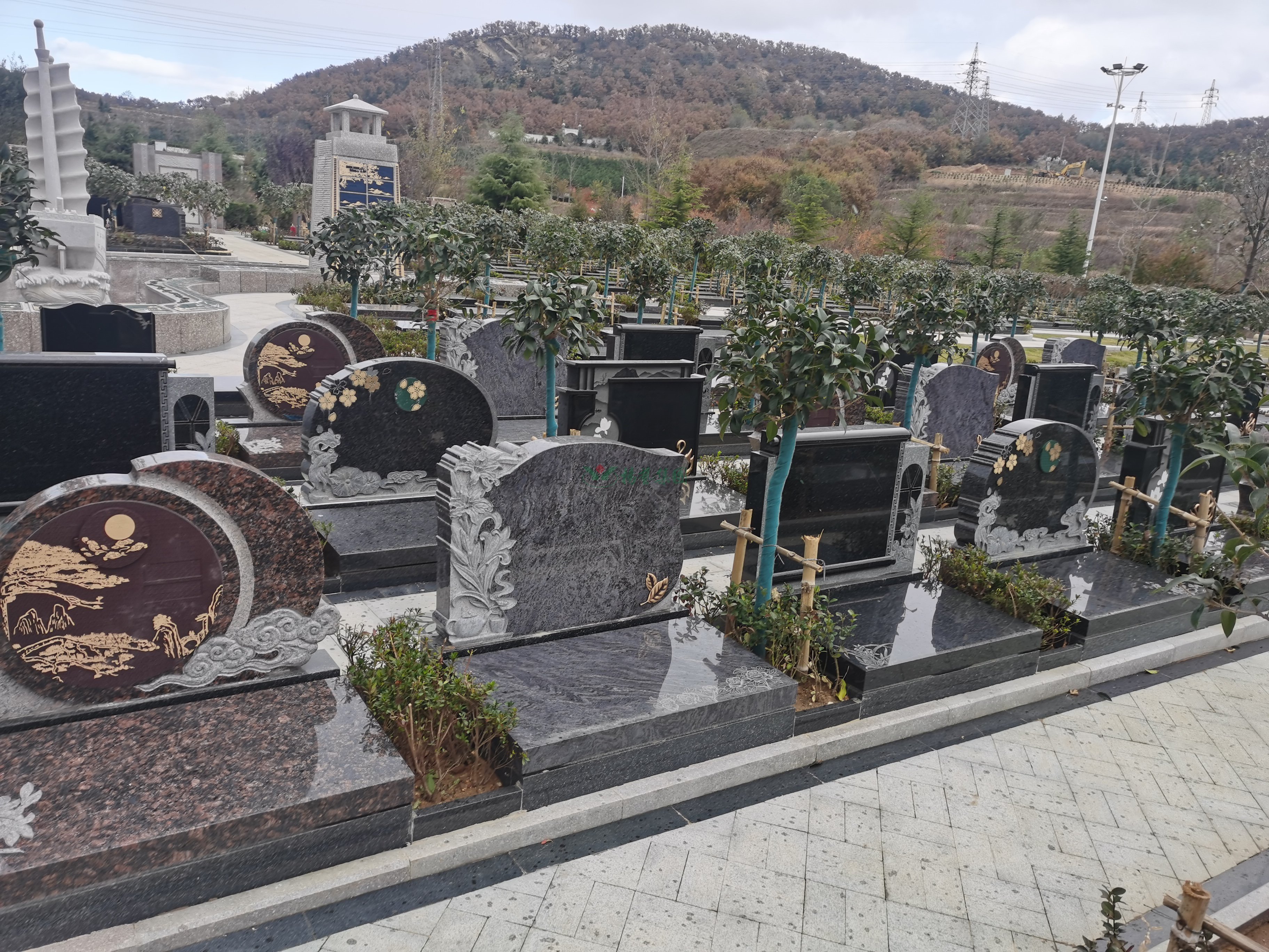 抖圈-为du而生官网入口