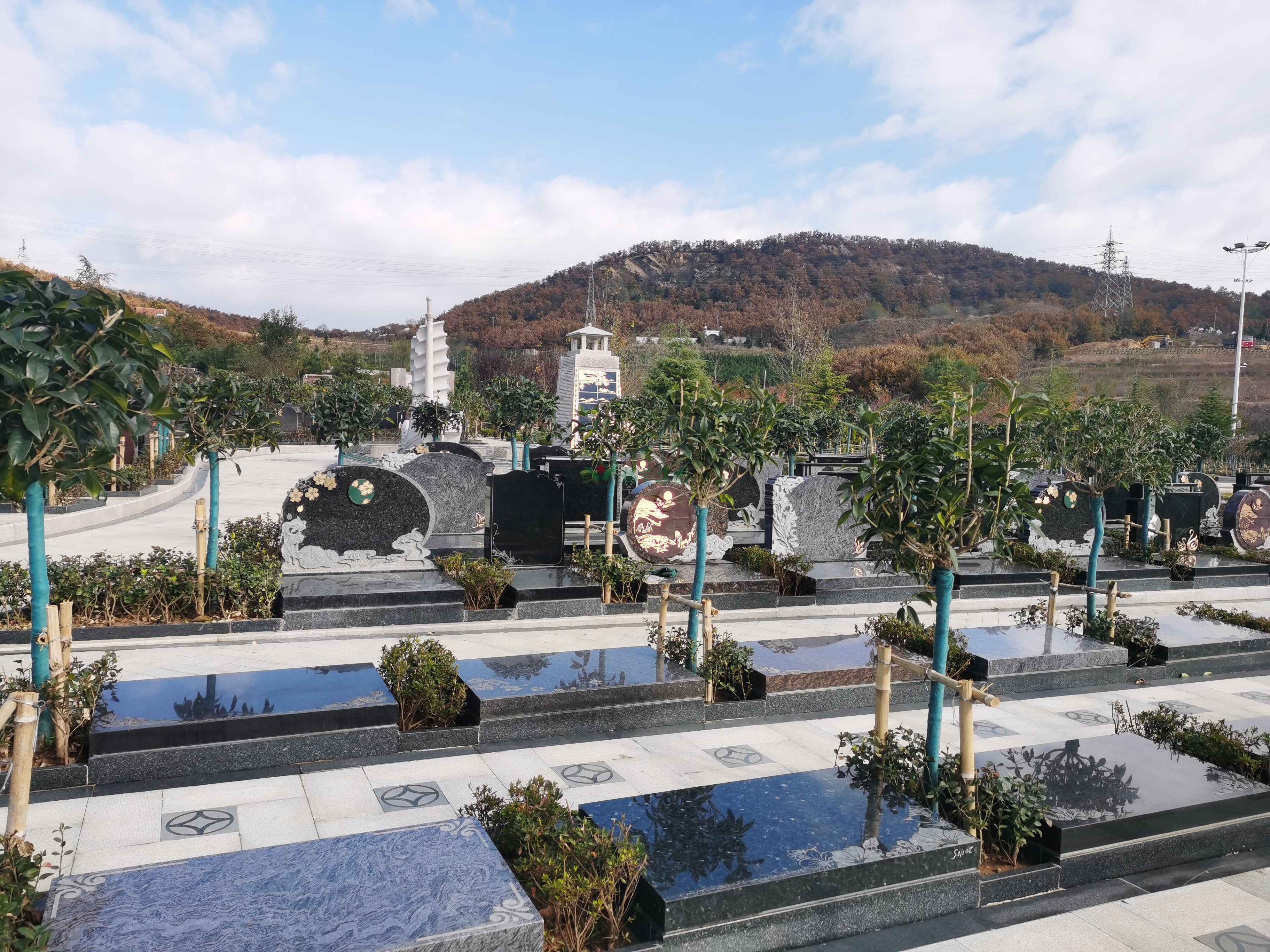 抖圈-为du而生官网入口