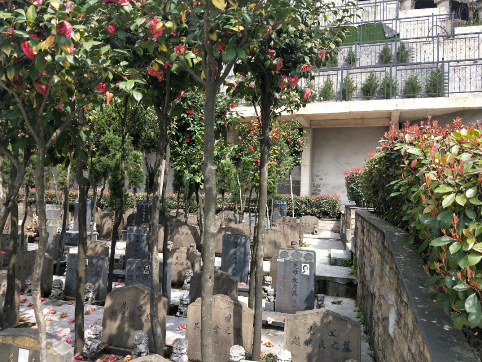 抖圈-为du而生官网入口