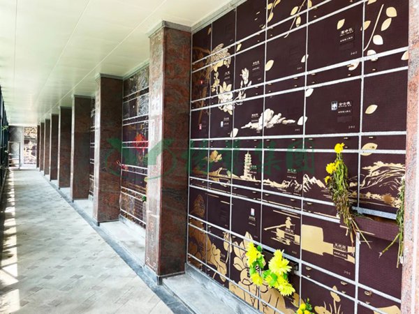 抖圈-为du而生官网入口