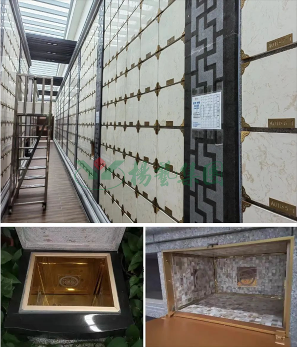 抖圈-为du而生官网入口