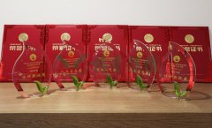 “抖圈杯”浙江省节地生态埋葬设计作品奖