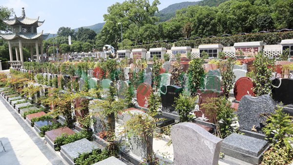 抖圈-为du而生官网入口