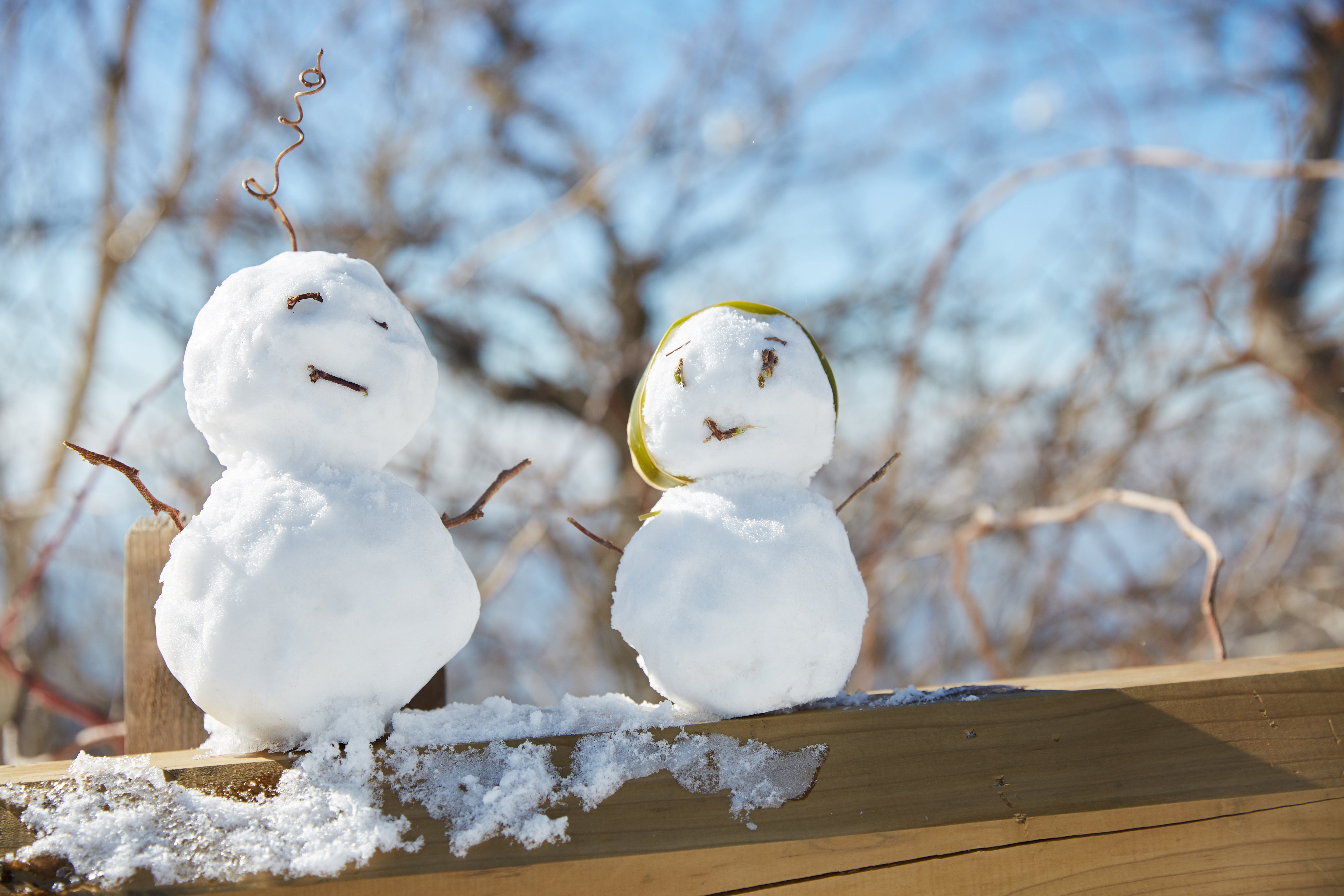 冬至，暖“杨”相伴 | 抖圈人全力配合各墓园冬至落葬