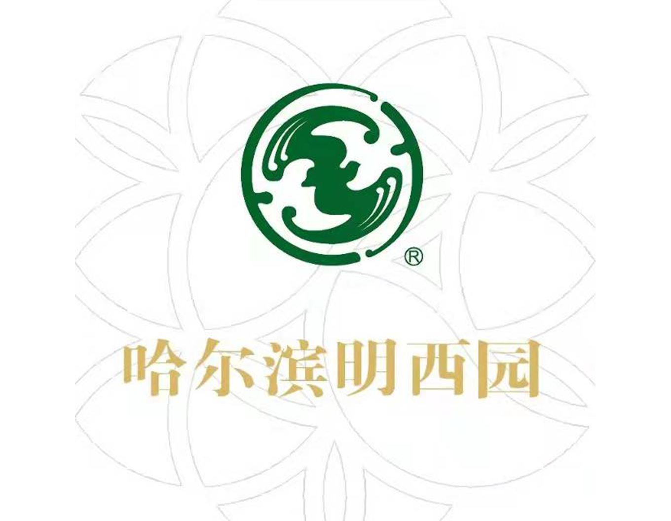 抖圈-为du而生官网入口