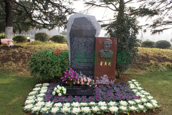 抖圈-为du而生官网入口