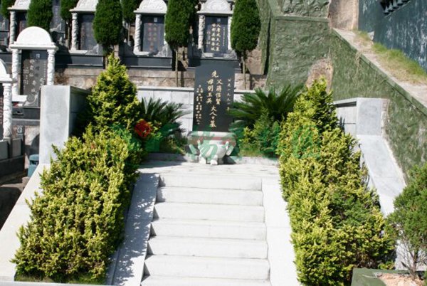 抖圈-为du而生官网入口