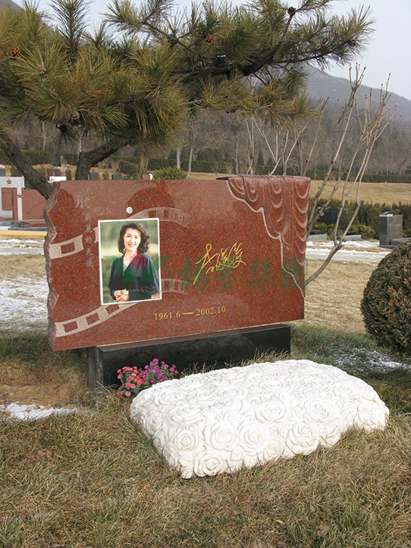 抖圈-为du而生官网入口