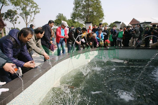 抖圈-为du而生官网入口