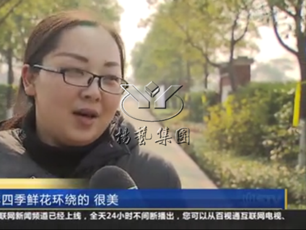 抖圈-为du而生官网入口