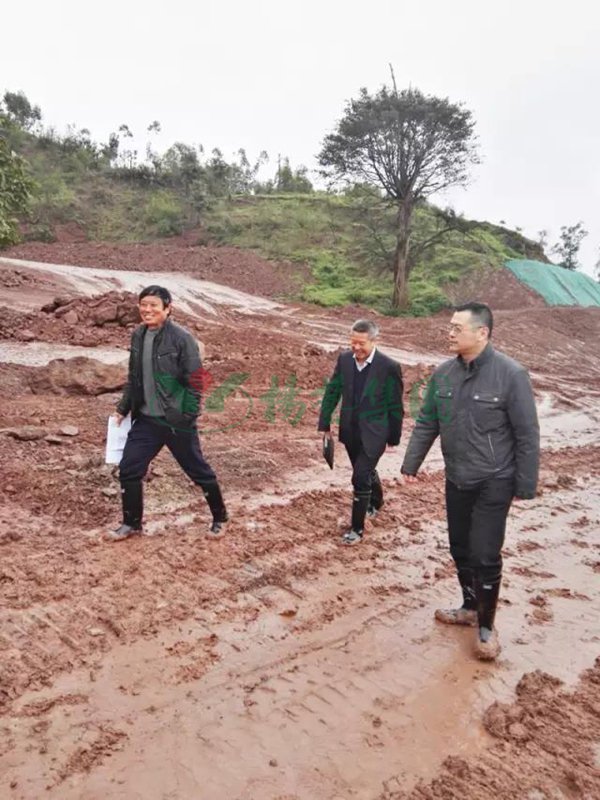 抖圈-为du而生官网入口