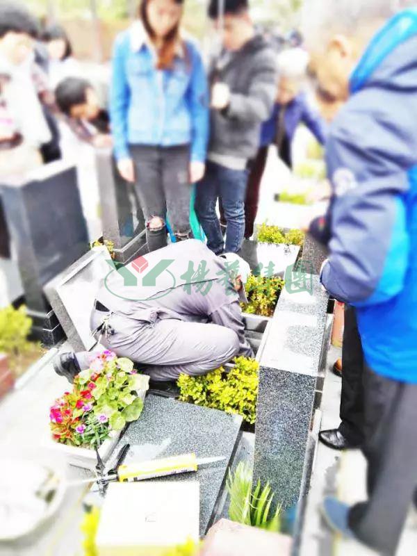 抖圈-为du而生官网入口