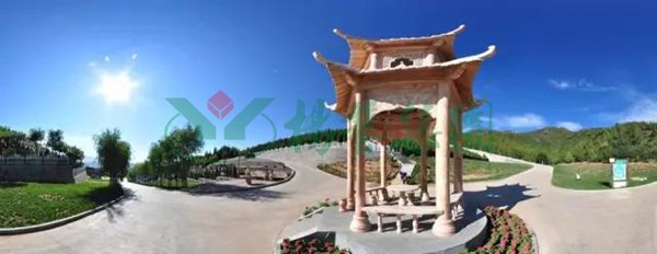 抖圈-为du而生官网入口