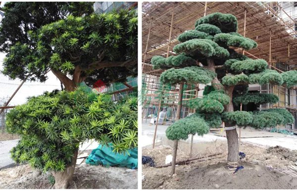 抖圈-为du而生官网入口