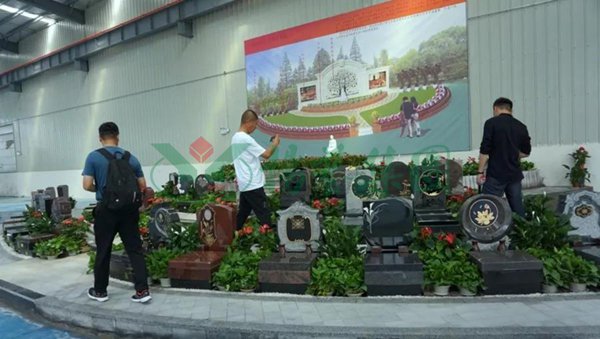 抖圈-为du而生官网入口