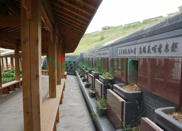 抖圈-为du而生官网入口