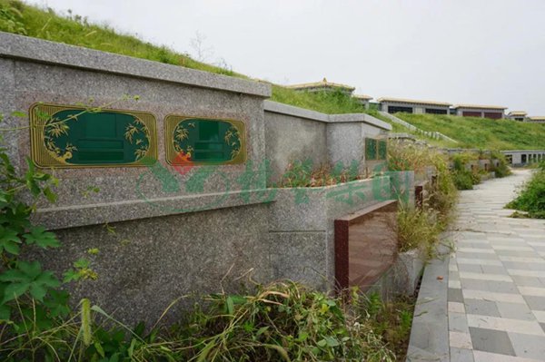 抖圈-为du而生官网入口