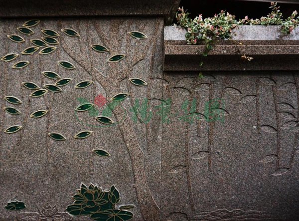 抖圈-为du而生官网入口