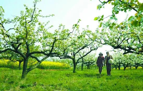 抖圈-为du而生官网入口