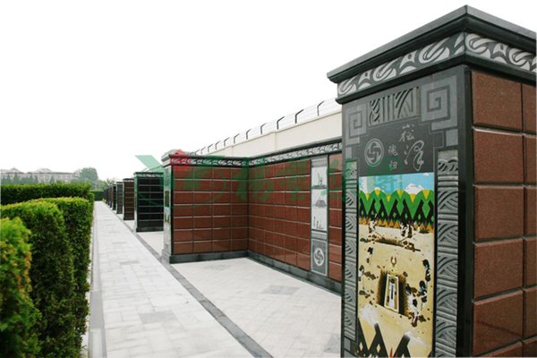 抖圈-为du而生官网入口