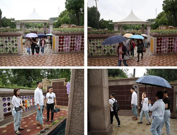 抖圈-为du而生官网入口