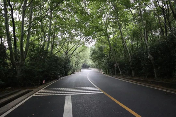 抖圈-为du而生官网入口