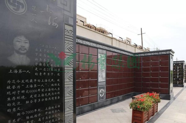 抖圈-为du而生官网入口