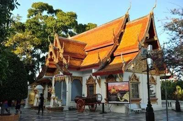 抖圈-为du而生官网入口