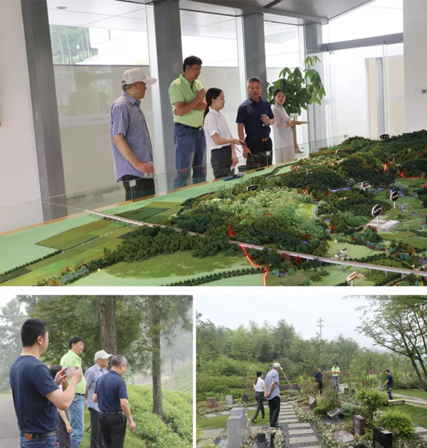 抖圈-为du而生官网入口