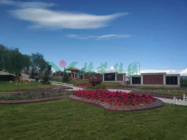 抖圈-为du而生官网入口